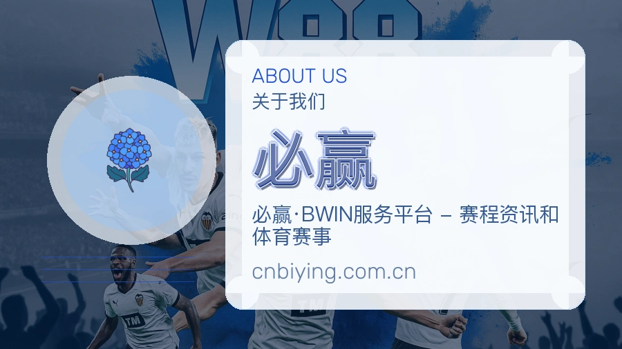 必赢发展说明